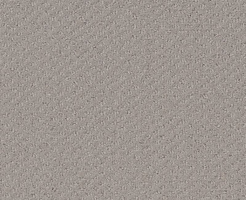 Pure Instinct Quiet Moment Nylon Carpet - Textured