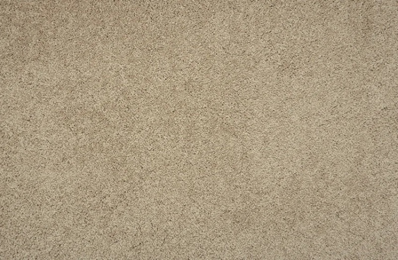 Pet Guard Hampshire Putty Solution Dyed Polyes Carpet - Plush