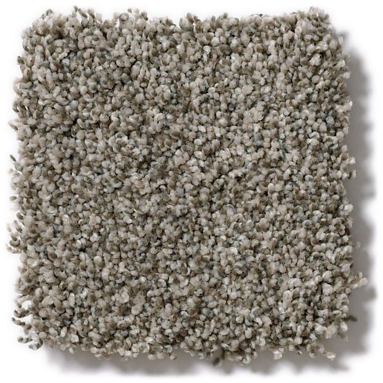 Pet Perfect Oliver's Twist Slippery Rock Nylon Carpet - Textured