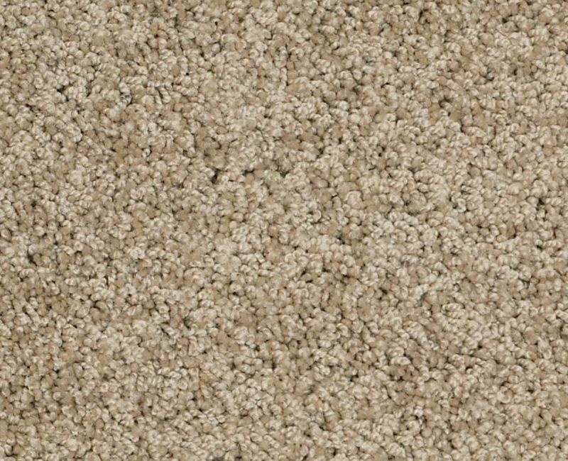 Playa Blanca Driftwood Nylon Carpet - Textured