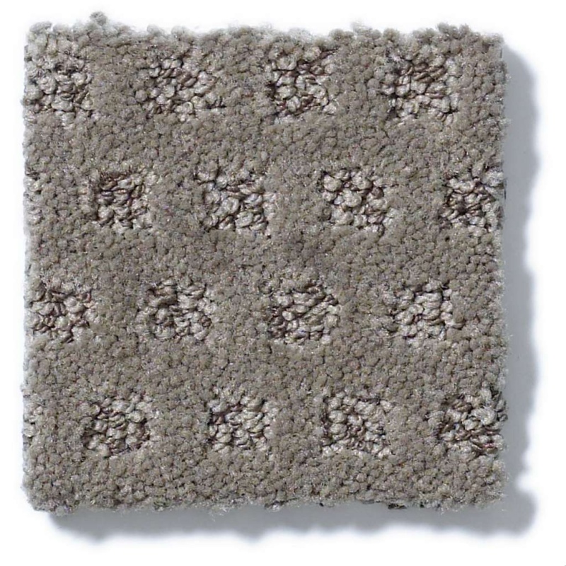 Caress By Shaw My Expression Essex Nylon Carpet - Pattern