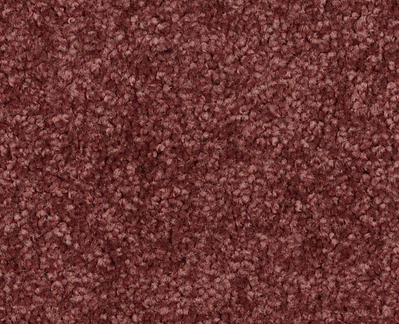 Nantucket Summer 15' Radiant Orchid Polyester Carpet