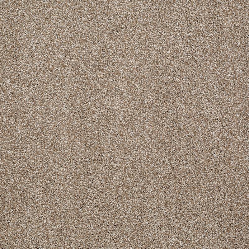 Anso Open II (S) Mole Hill Nylon Carpet - Textured