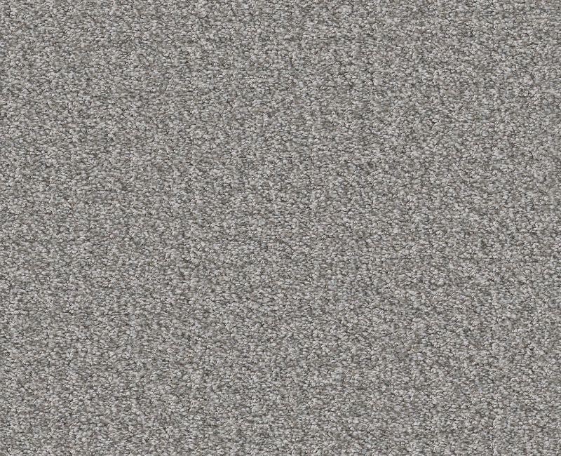Passing By Grey Fox Polyester Carpet - Textured