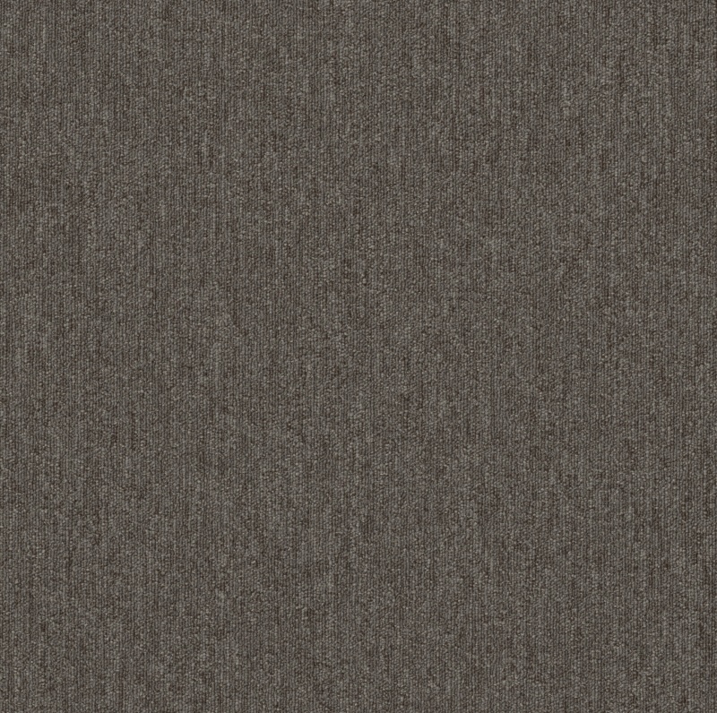 Profusion Piles Polyester Carpet - Textured