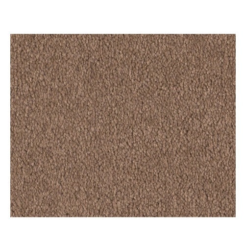 Qs158 12' Muffin Nylon Carpet - Textured