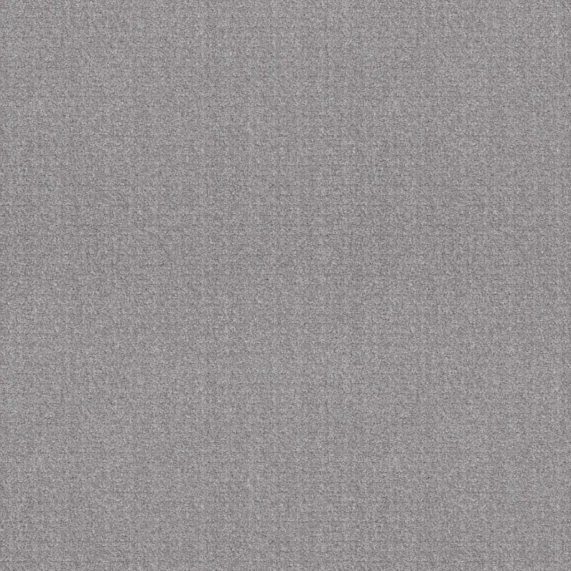 Pet Perfect Plus Secret Passage Silver Lining Polyester Carpet - Textured