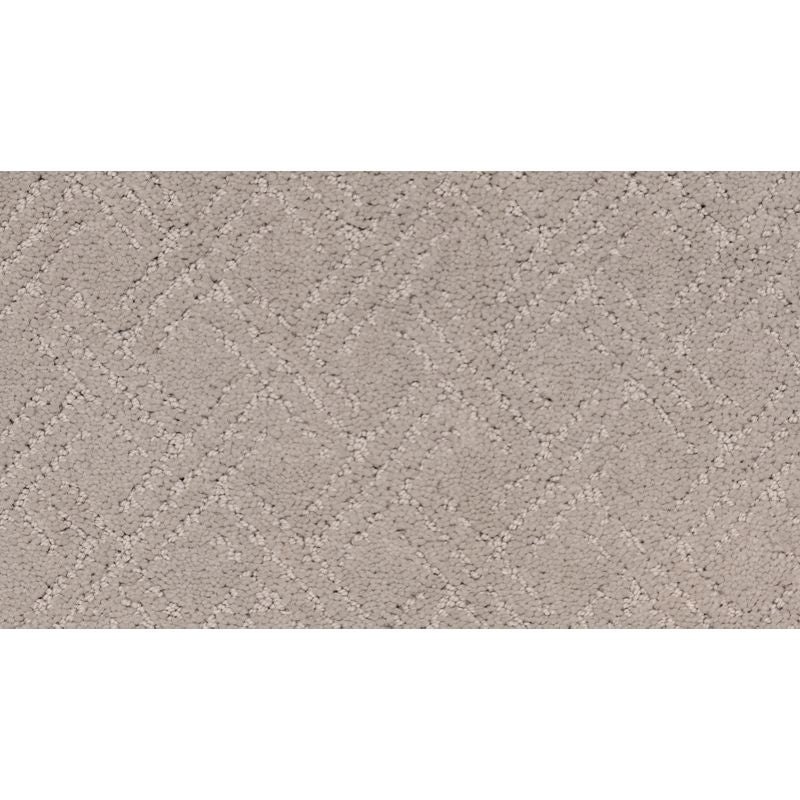 Exquisite Touch Arctic Triexta Carpet - Pattern