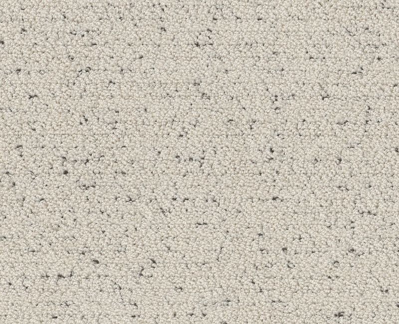 Without A Trace Marble Polyester Carpet - Textured
