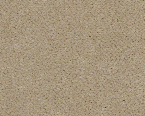 Emphatic Ii 30 White Gold Nylon Carpet - Textured