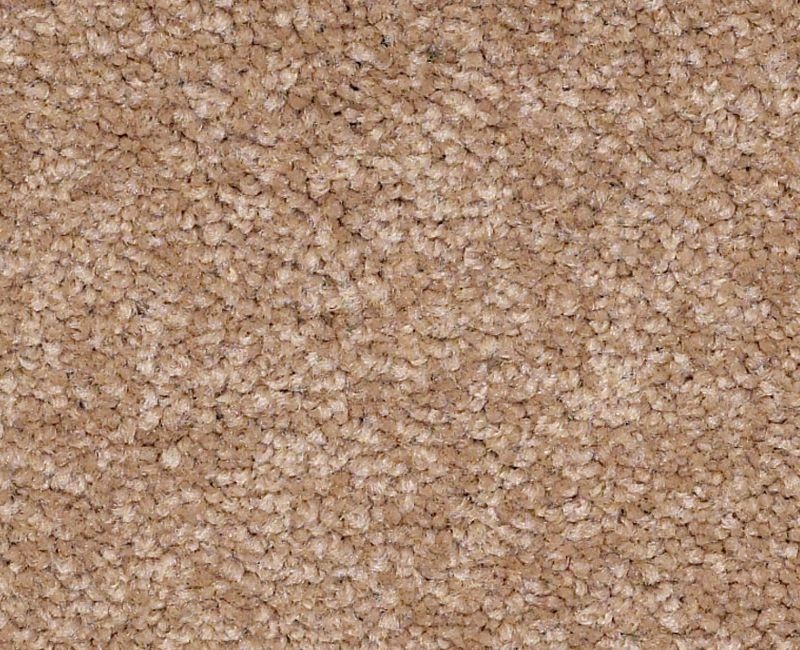 Magic Happens Pv Ii Malted Milk Nylon Carpet - Textured