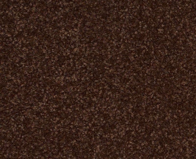Magic Happens PV III Fudge Brownie Nylon Carpet - Textured