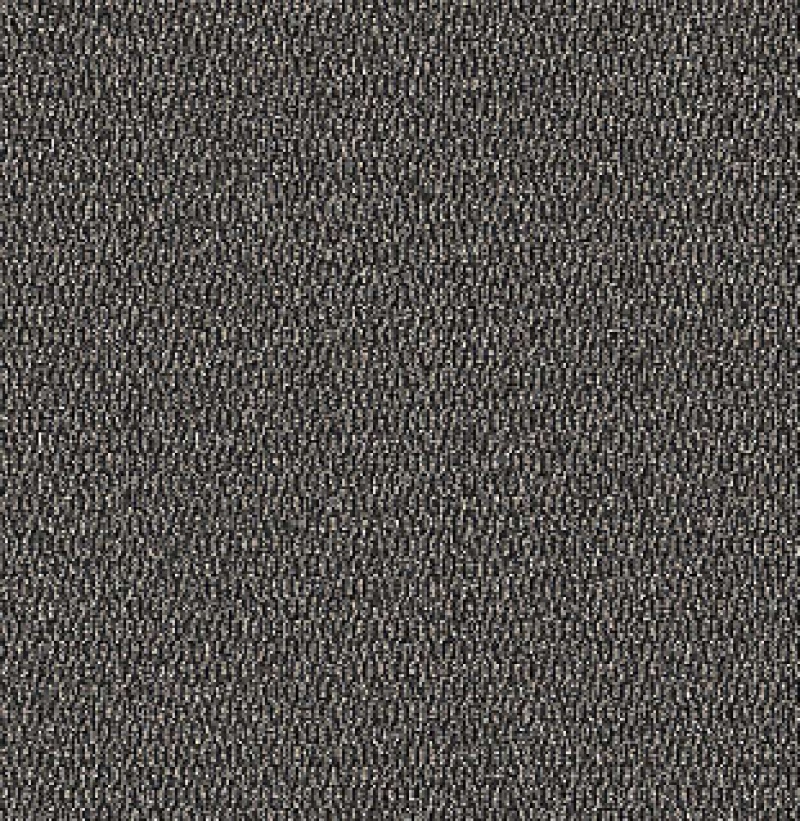Loop Floring Buy Traction II Midnight Nylon Carpet - Loop Flooring Online
