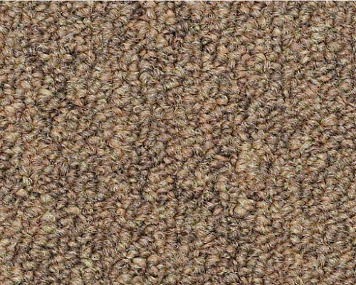 Capital Iii Bl Election Nylon Carpet - Loop