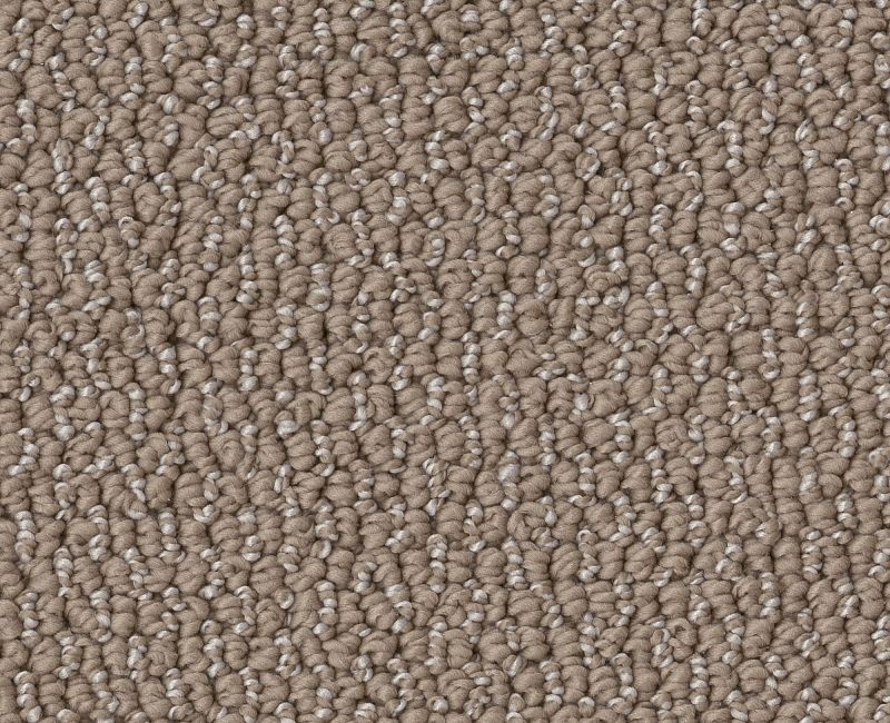 Devious Look Raw Wood Polyester Carpet - Textured