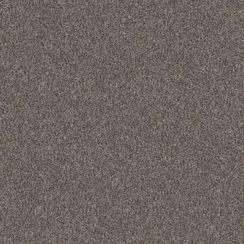 Pet Perfect Yes You Can I 12' Marble Polyester Carpet - Textured
