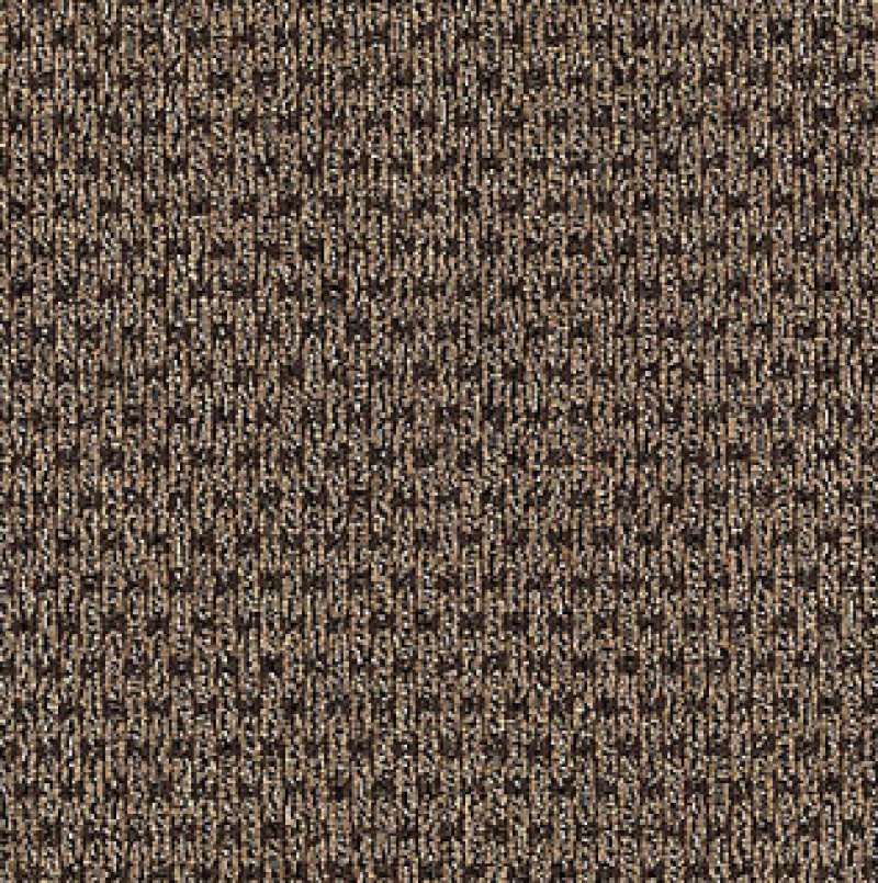 True Form Brown Tones Nylon Carpet - Loop