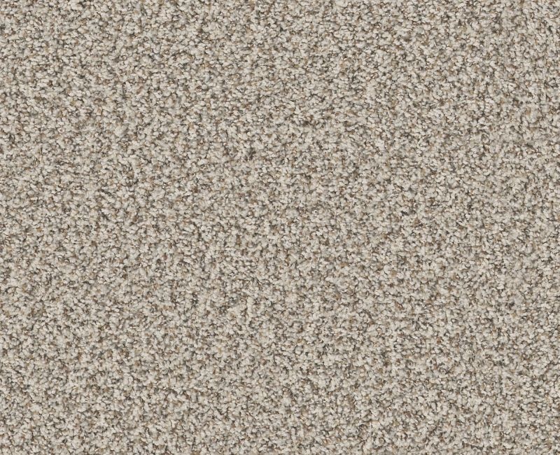 Privy Scenic Drive Nylon Carpet - Loop