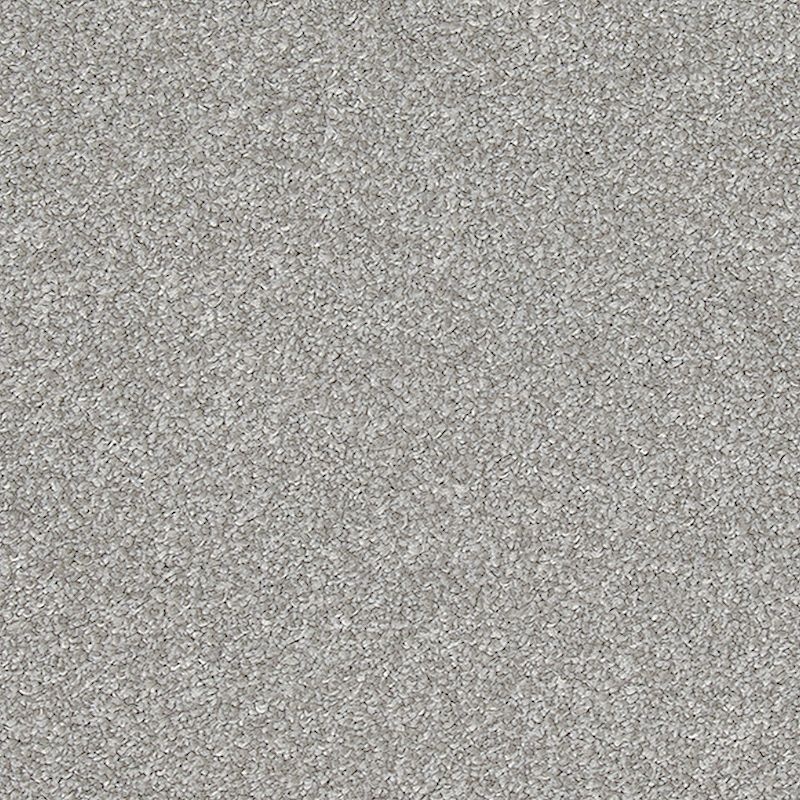 Refreshing Shades Magnetic Polyester Carpet - Textured