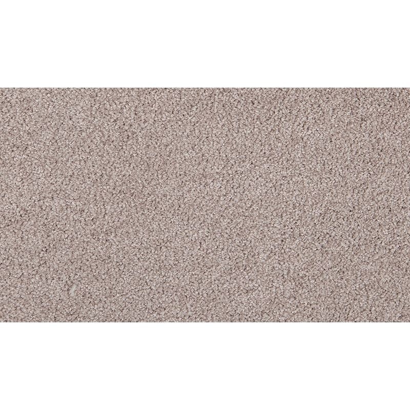 Pleasant Touch Perfect Taupe Triexta Carpet - Textured