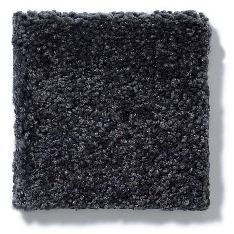 What's Up Stunning Navy Nylon Carpet - Textured