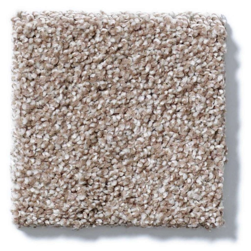 Foundations Always Ready I Summerville Nylon Carpet - Textured