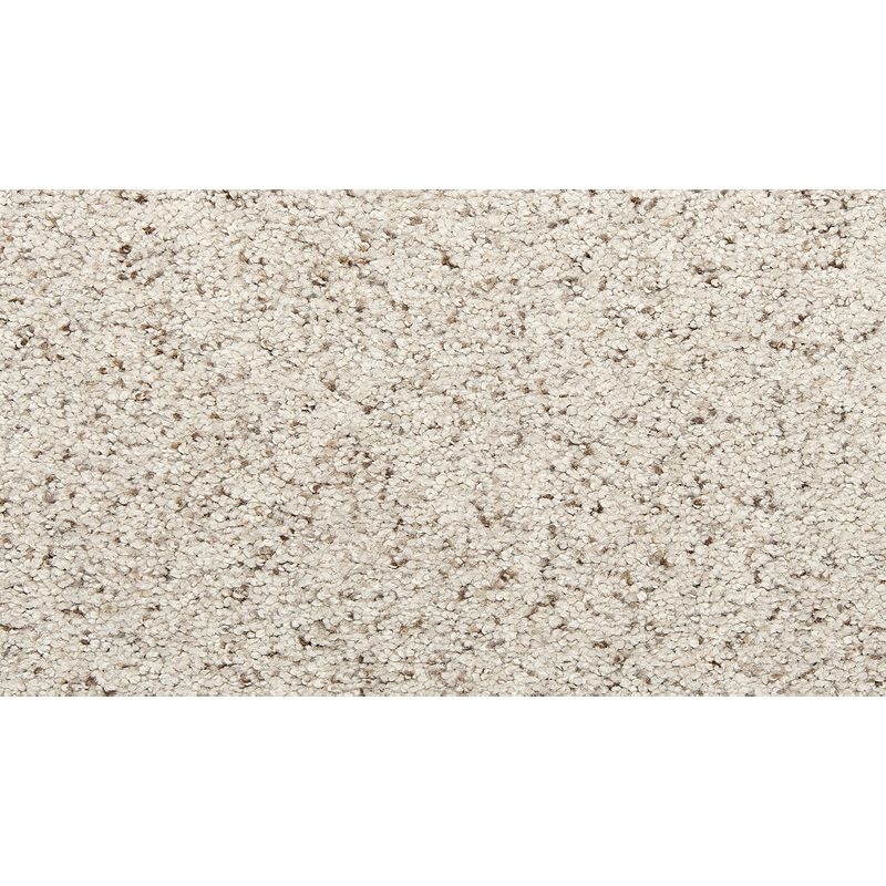 Delightful Journey Ii Shady Day Nylon Carpet - Textured