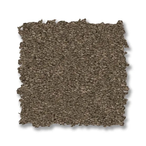 Enduring Charm Moonbeam Nylon Carpet - Textured