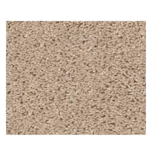 To The Point Sandstone Textured Polyester Carpet