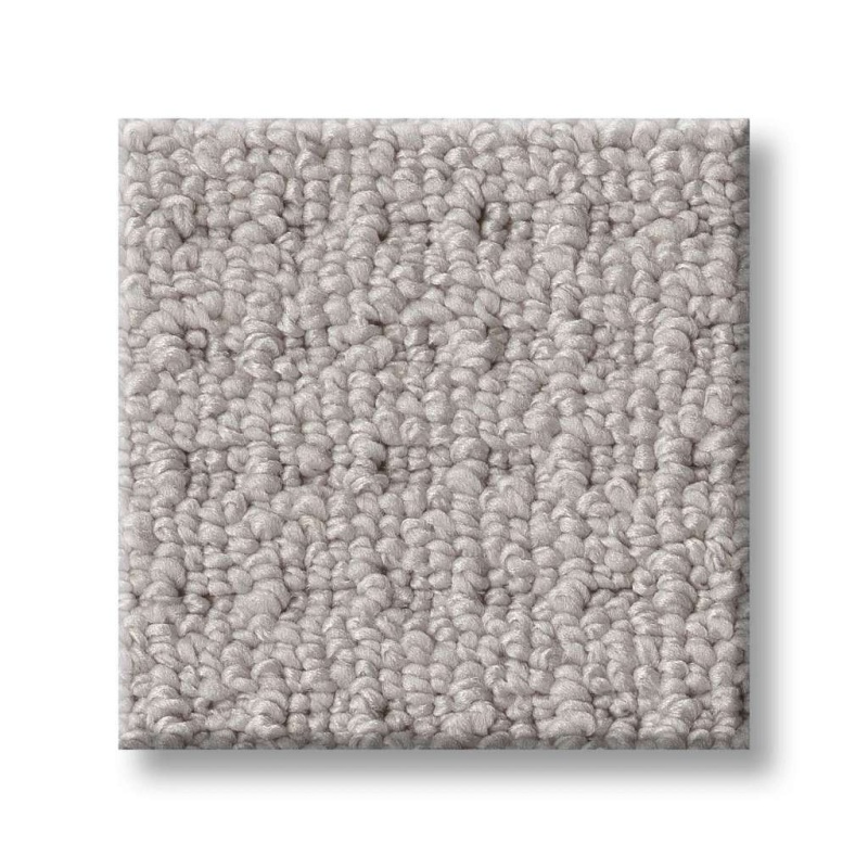 Simply The Best Framed View Warm Greige Polyester Carpet - Loop