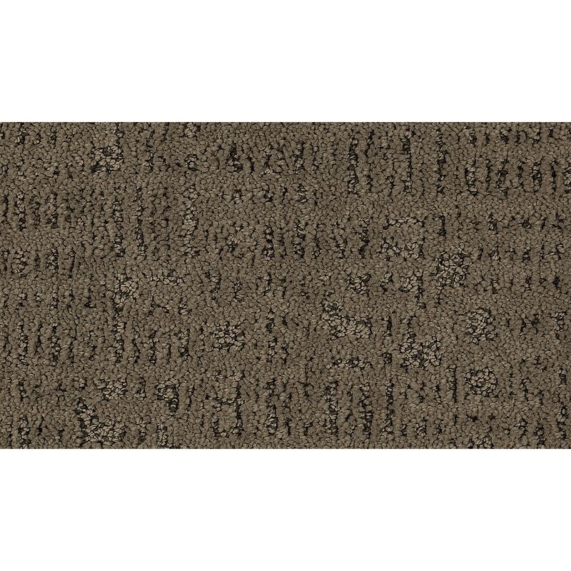 Exquisite Portrait Filtered Smoke Triexta Carpet - Pattern