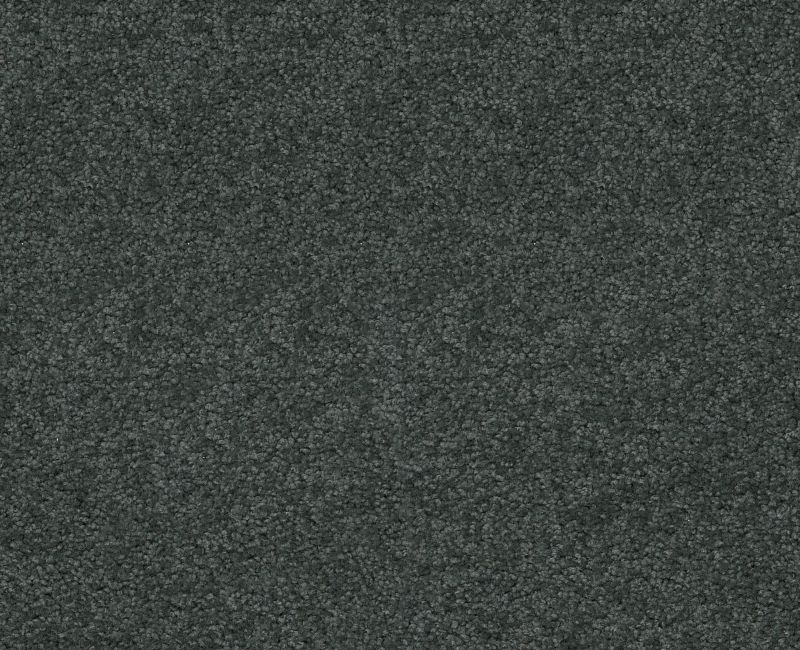In A Twinkling Regal Nylon Carpet - Textured