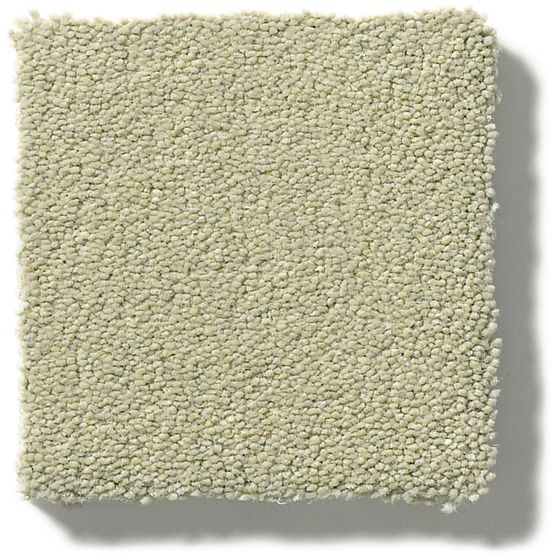 Perfect Choice Glen Nylon Carpet - Textured