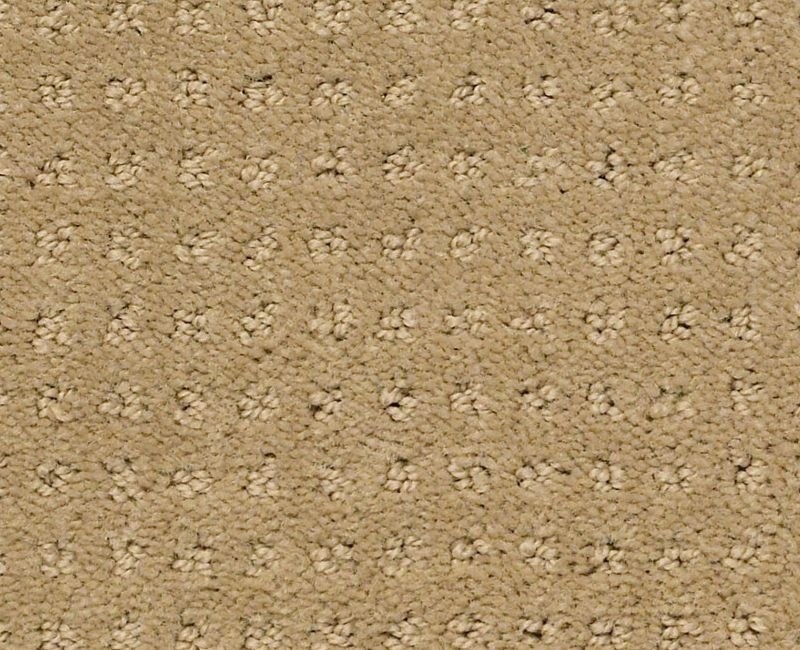 My Style Pattern Honey Pot Nylon Carpet - Pattern