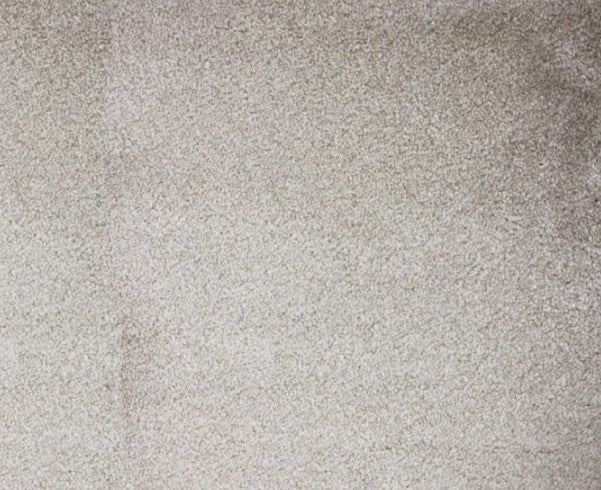 Atelier Marquee Starry Night Pearl Nylon Blend Carpet - Textured