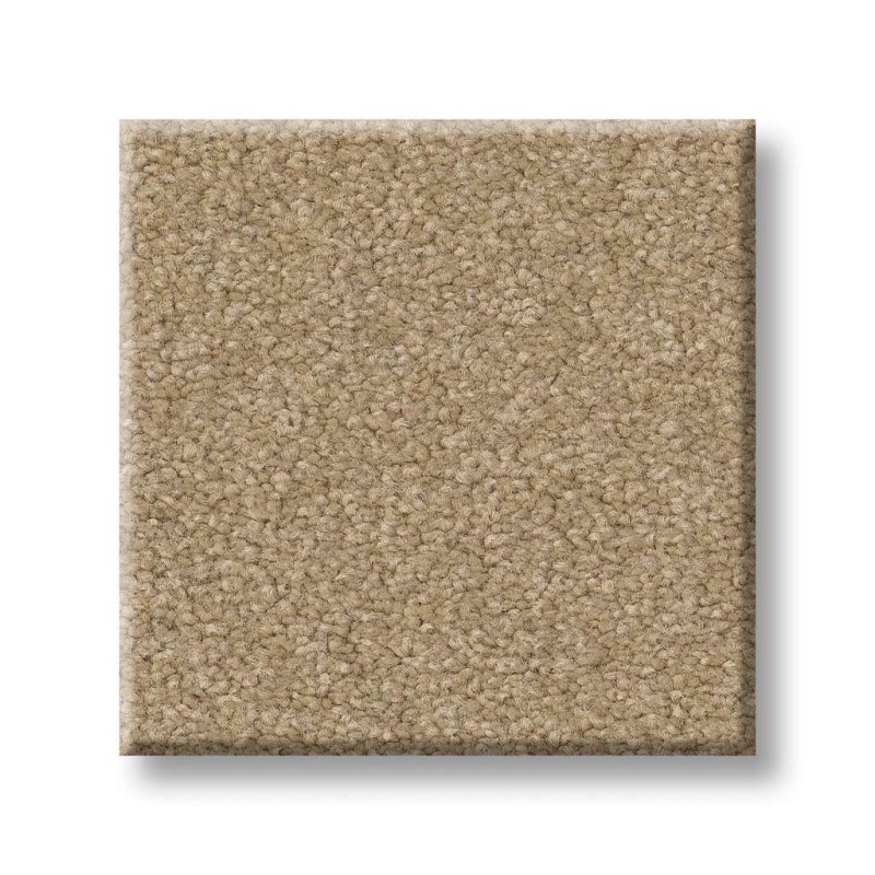 Couture' Collection Ultimate Expression 12' Stucco Textured Nylon Carpet