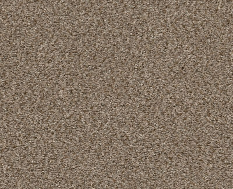 Marina I Brown Reed Polyester Carpet - Textured