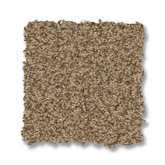 Somerset Powdered Gold Nylon Carpet - Textured