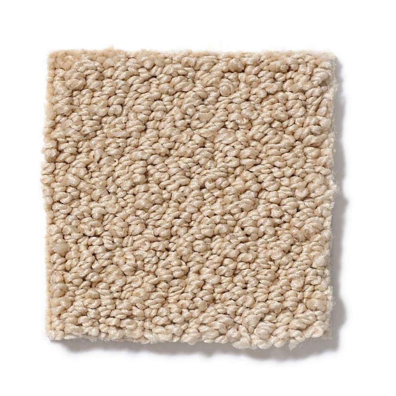 Soft Shades Truly Relaxed Loop Mesa Nylon Carpet - Loop