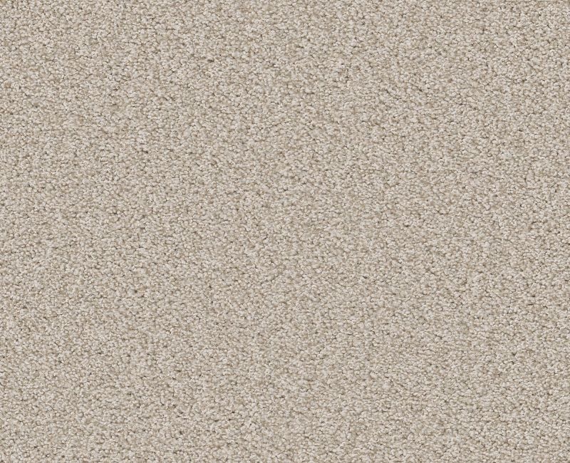 Memorable II Champagne Toast Nylon Carpet - Loop