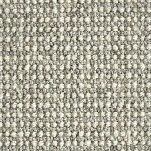 Natural Wonders Barrier Silver Wool Blend Carpet - Textured