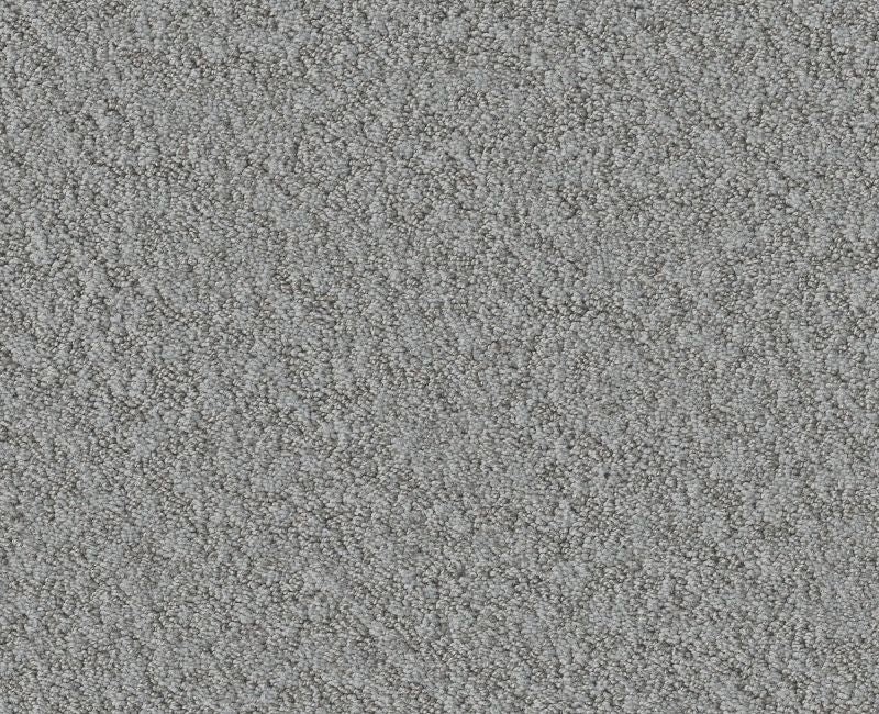 Showy Sentimental Nylon Carpet - Loop