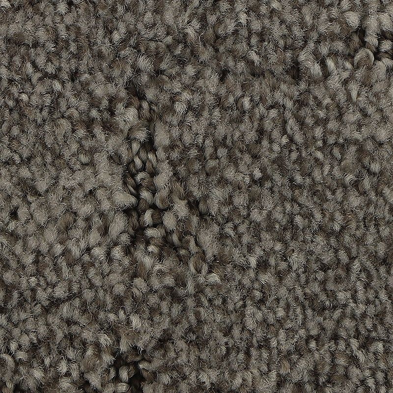 Elaborate Appeal Oyster Polyester Carpet - Pattern