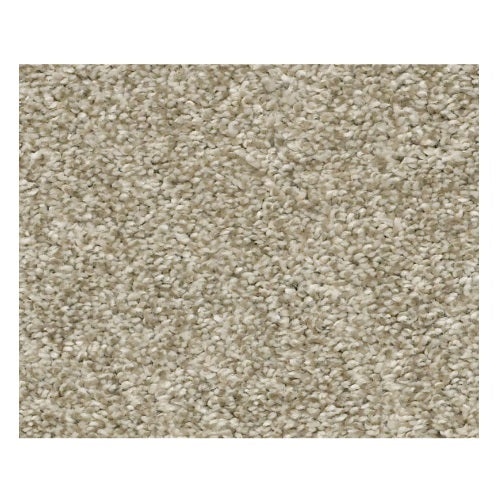 Rincon Latte Nylon Carpet - Textured