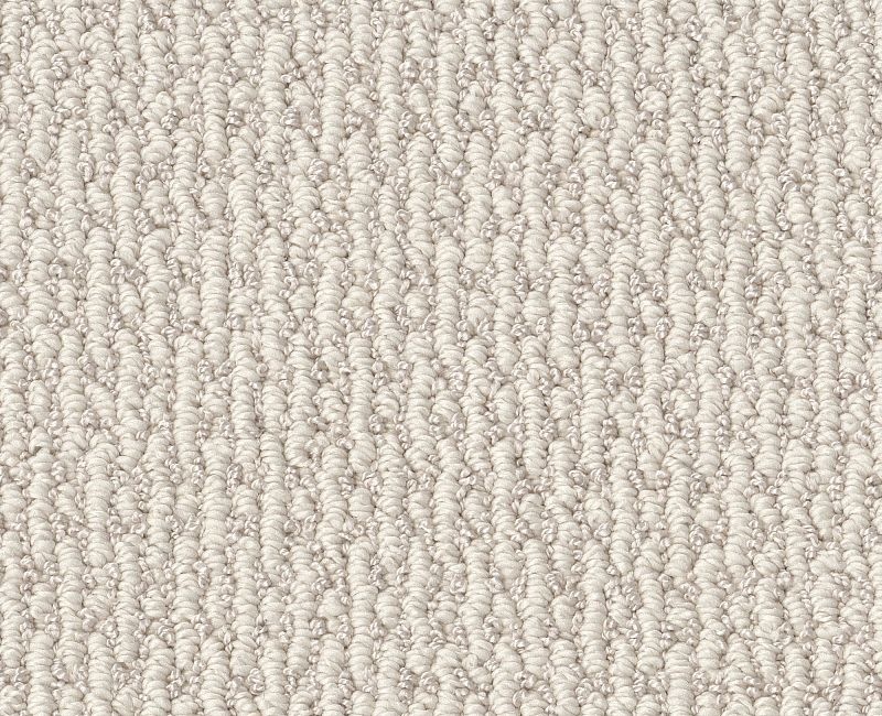 Champagne Toast Polyester Carpet - Textured