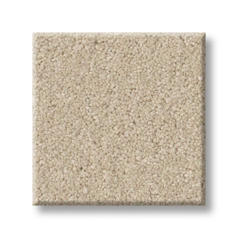 Magic At Last Iii 12' Sea Salt Nylon Carpet - Textured