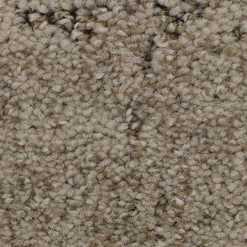 Elaborate Appeal Nomad Polyester Carpet - Pattern