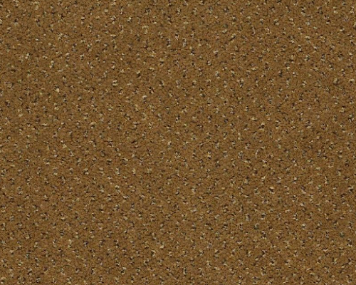 Future Generations Golden Age Nylon Carpet - Textured