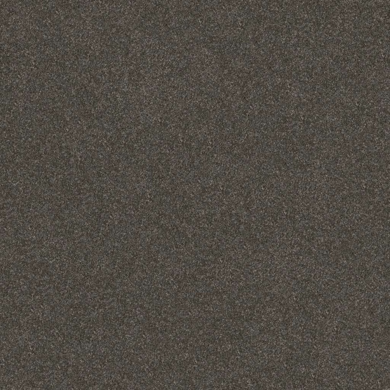Simply The Best Without Limits Iii Derby Polyester Carpet - Textured