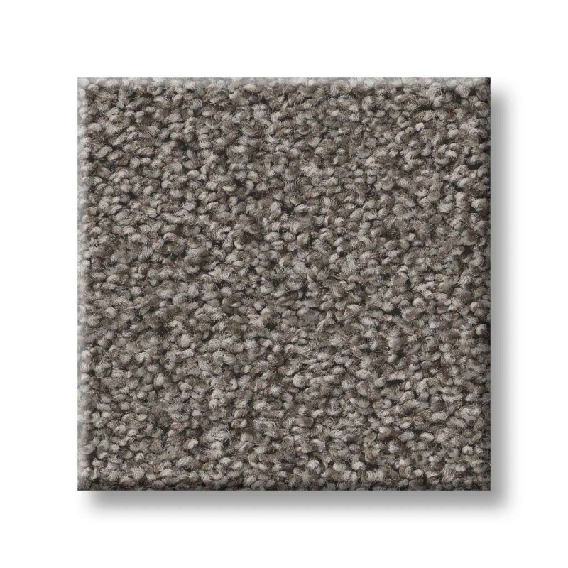 Foundations Sweet Inspiration I Weathered Siding Nylon Carpet